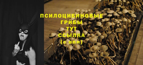 дурь Алзамай