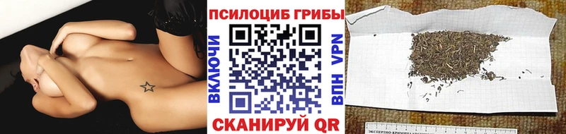 Псилоцибиновые грибы мухоморы купить mega как зайти Тула