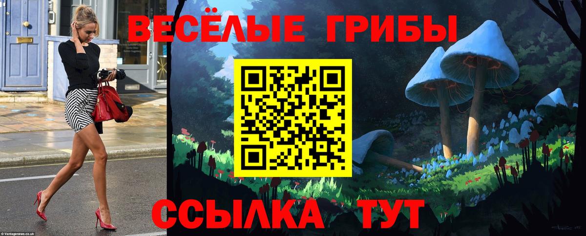 как найти закладки  Галлюциногенные грибы MAGIC MUSHROOMS  Вход с VPN  Псилоцибиновые грибы прущие грибы  Тула 